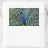 雄カラフル孔雀 長方形シール (バッグ)