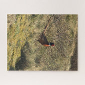雄キジの自然 ジグソーパズル (横)