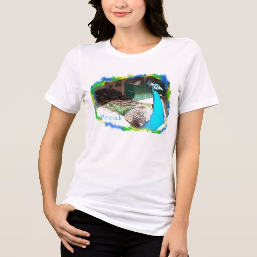 雄クジャクの日光浴 トライブレンドＴシャツ (正面)