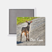 雄ディアファウン野生動物デザイン マグネット (正面/裏面)