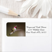 雄ハチドリ – 尾ハチドリ ラベル (インサイチュ)