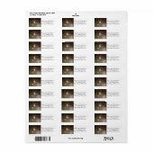 雄ハチドリ – 尾ハチドリ ラベル (フルシート)