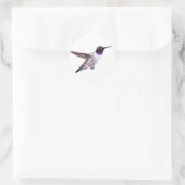 雄ハミングバードシール ラウンドシール (バッグ)