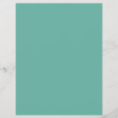 雄バザーポートレート、スイミングプールクリーニング チラシ (裏面)