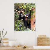 雄バフ生意気なギボン ポスター (キッチン)