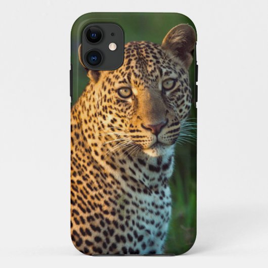 雄ヒョウ(Panthera Pardus)成獣の子 Case-Mate iPhoneケース (裏面)