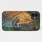 雄ヒョウ(Panthera Pardus)成獣の子 Case-Mate iPhoneケース (裏面(横))