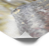 雄ブラックバード フォトプリント            (角)