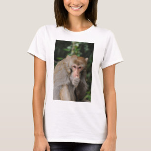 雄マカケ猿 Tシャツ