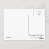 雄ヤギ ポストカード (裏面)