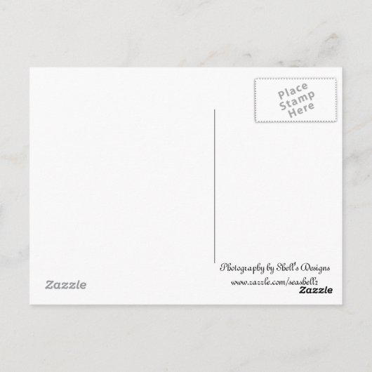 雄ヤギ ポストカード (裏面)