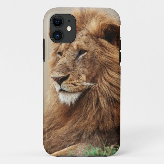 雄ライオンのクローズアップ Case-Mate iPhoneケース (裏面)