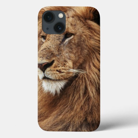雄ライオンのクローズアップ Case-Mate iPhoneケース (裏面)