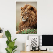 雄ライオンの接写 ポスター (ホームオフィス)