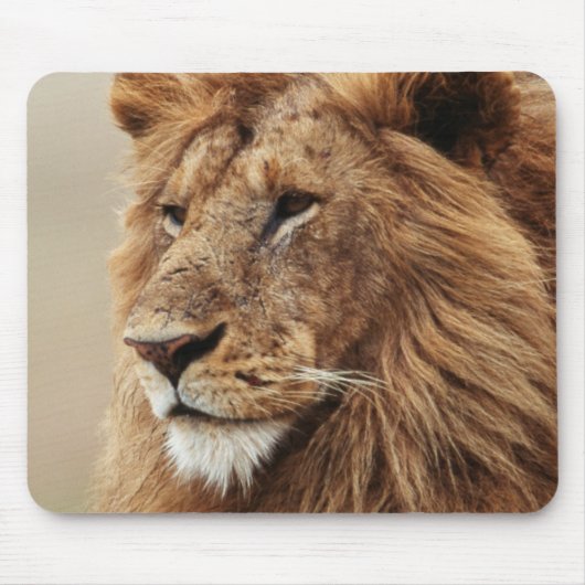 雄ライオンの接写 マウスパッド (正面)