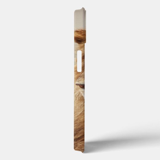 雄ライオンの接写 Case-Mate iPhoneケース (裏面 / 右)