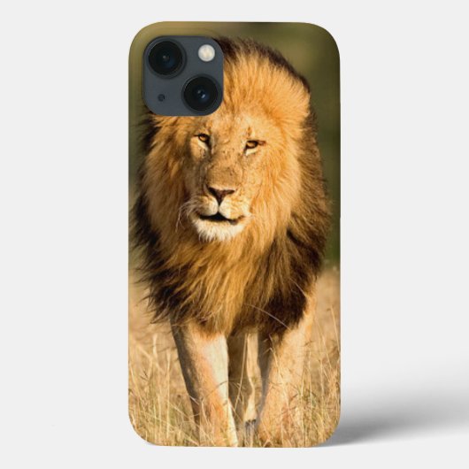 雄ライオンの歩行 Case-Mate iPhoneケース (裏面)