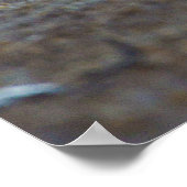 雄ライオンストレッチパンテラレオヨガ ポスター (角)