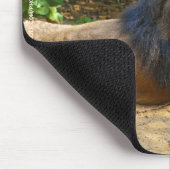 雄ライオンマウスパッド マウスパッド (コーナー)