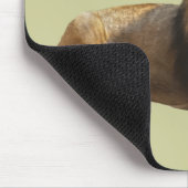 雄ライオンマウスパッド マウスパッド (コーナー)