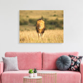 雄ライオン歩く キャンバスプリント (インサイチュ (リビング))