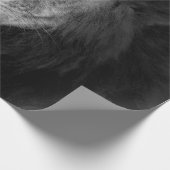 雄ライオン ラッピングペーパー (角)