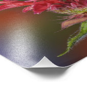 雄ルビーの喉を持つハミングバード フォトプリント            (角)