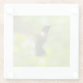 雄ルビースロートハミングバード ガラスコースター (裏面)