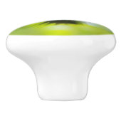 雄ルビースロートハミングバード セラミックノブ (側面)