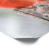 雄レッド(鳥)ショウジョウコウカンチョウスノイ枝雪の木の切り株 フォトプリント (角)