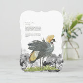 雄壮な絶滅危惧種のグレークロウズクレーン (スタンド正面)