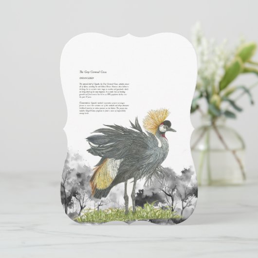 雄壮な絶滅危惧種のグレークロウズクレーン (スタンド正面)