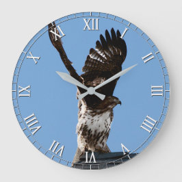 雄大なアカタカの猛禽類 ラージ壁時計