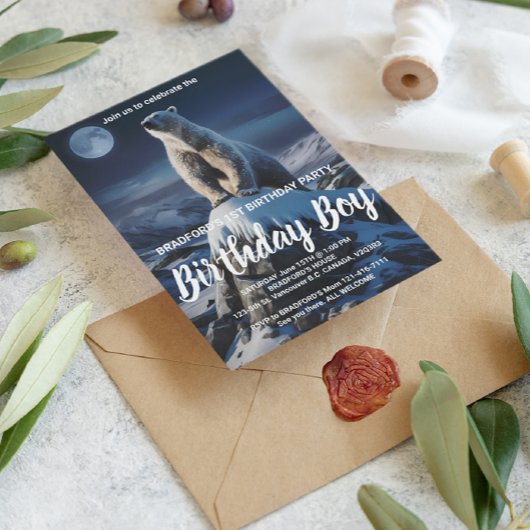 雄大なアルパカが穏やかな野原に ポストカード