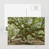 雄大なエンジェルオーク ポストカード (正面/裏面)