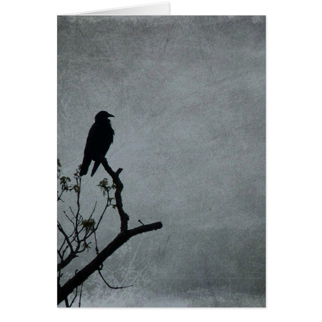 雄大なカラス (正面)