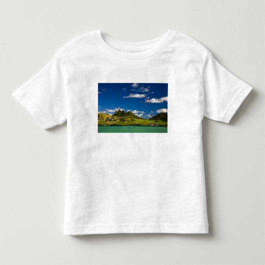 雄大なライオンの景色の中でのパラセーリング トドラーTシャツ (正面)