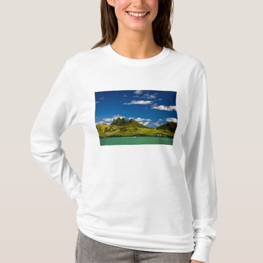 雄大なライオンの景色の中でパラセーリング Tシャツ (正面)