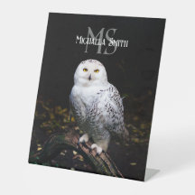 雄大な冬の雪のオオワシ カスタム名前のモノグラム