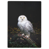 雄大な冬の雪のオオワシ クリップボード (裏面)