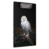 雄大な冬の雪のオオワシ クリップボード (右)