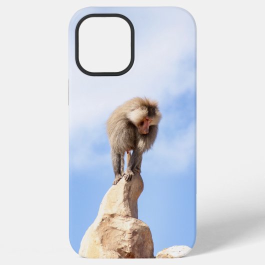 雄大な山頂のヒヒ iPhoneケース (裏面)