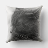 雄大な灰色の威圧的な猫を見つける クッション (裏面)