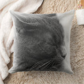 雄大な灰色の威圧的な猫を見つける クッション (ブランケット)