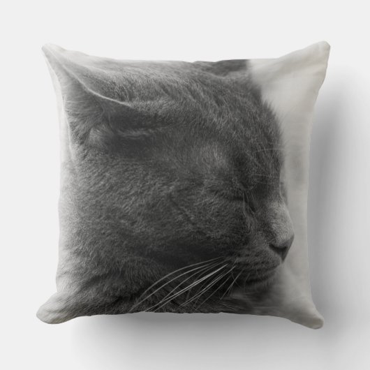 雄大な灰色の威圧的な猫を見つける クッション (正面)
