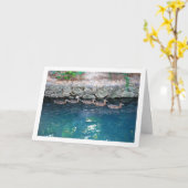 雄大な青い水の中のヒナガモの群れ カード (黄色い花)