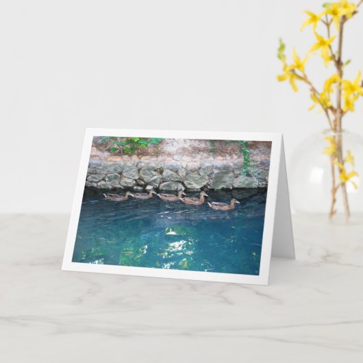 雄大な青い水の中のヒナガモの群れ カード (黄色い花)