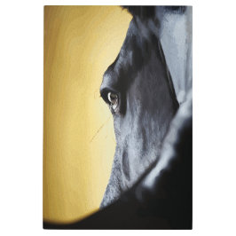 雄大な馬の眼のクローズアップアート メタルプリント