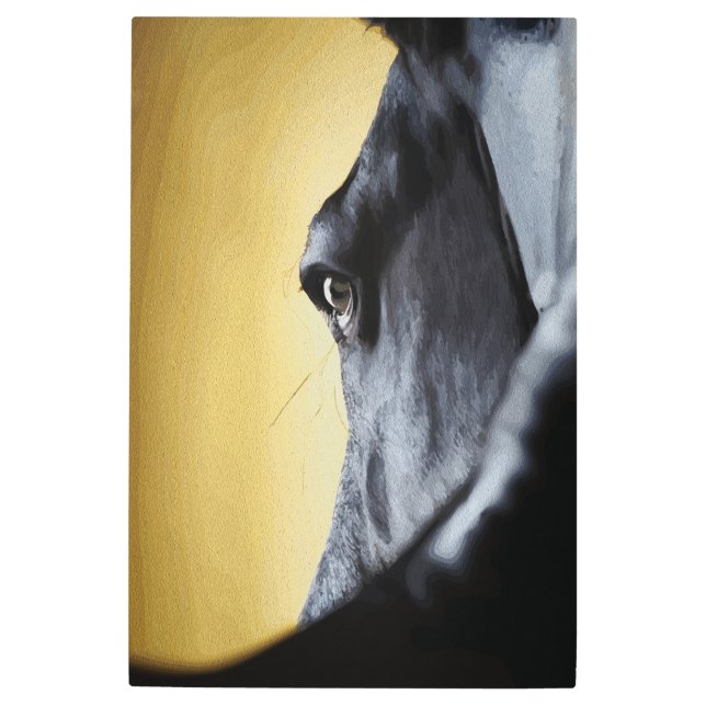 雄大な馬の眼のクローズアップアート メタルプリント (正面)