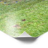 雄孔雀の写真 フォトプリント            (角)